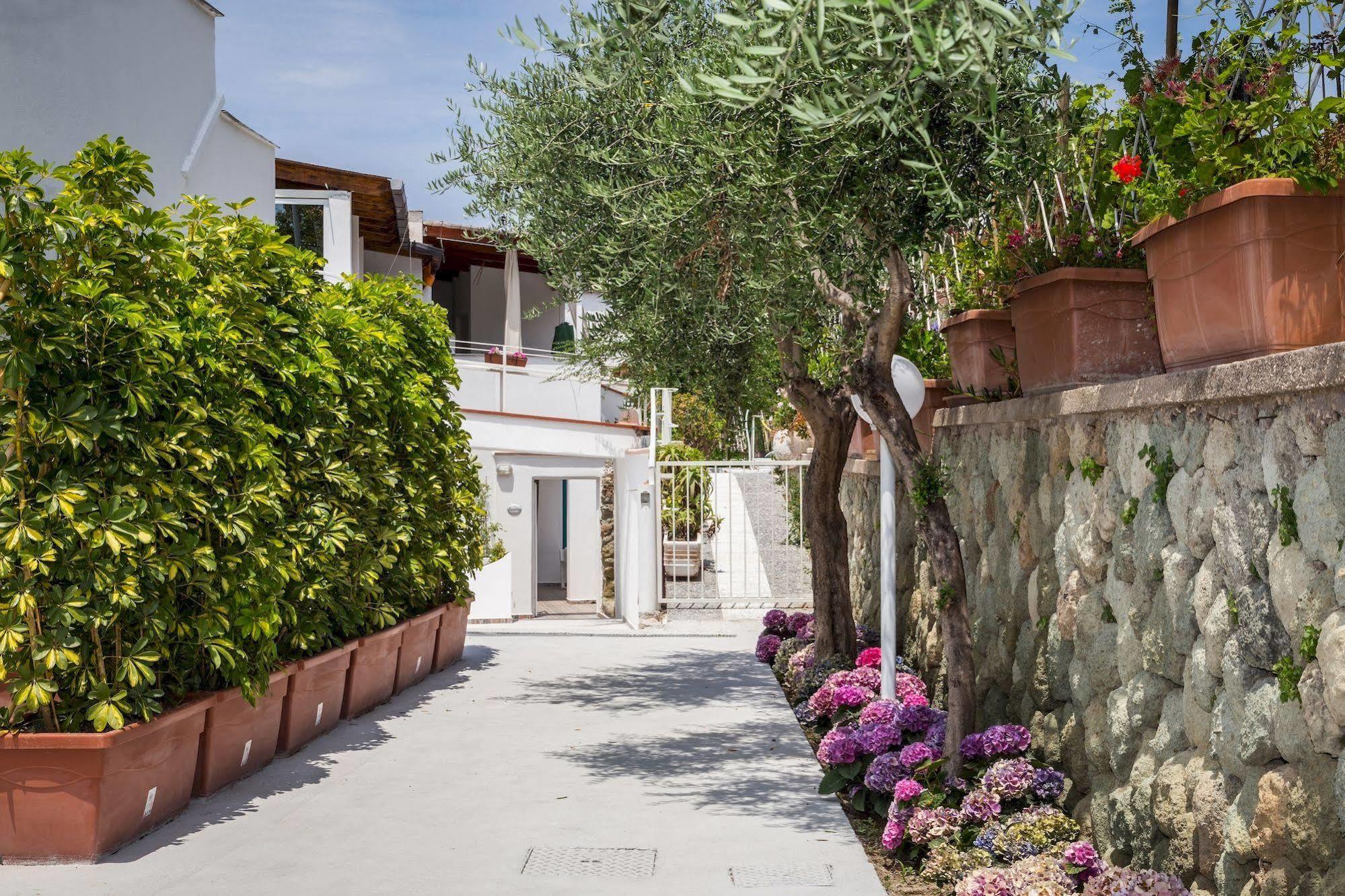 Bed and Breakfast Relais Romildanna Forio di Ischia Zewnętrze zdjęcie